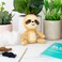 Gift Republic 'S New Kawaii Krochet - Diy Sloth Crochet Kit