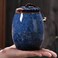 Angoily Tea Canister, Ceramic Kiln Spice Jar with Airtight Lid