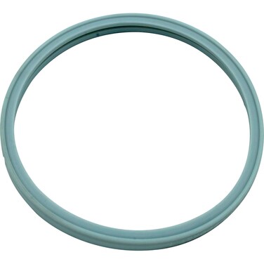 Pentair Light Lens Gasket, Pacfab, Pool Star, Hatteras