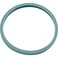 Pentair Light Lens Gasket, Pacfab, Pool Star, Hatteras