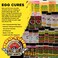 Pro-Cure Wizard Egg Cure, 12 Ounce, Double Neon Red