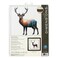 Dimensions Simplicity Creative Corp Cross Stitch, Deer Scene, 12" X 12" (14 Count)