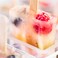 Fox Run Frozen Popsicle Maker Ice Pop Mold, with 24 Sticks, Bpa-Free
