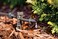Rain Bird Bue10-25S Drip Irrigation Button Dripper/Emitter, 1 Gallon Per Hour, 25-Pack