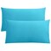 Flxxie 2-Pack Microfiber King Pillow Cases, Envelope Closure, Blue