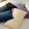 Flxxie 2-Pack Microfiber Queen Pillow Cases, Envelope Closure, Light Grey