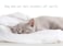 Karever White Fluffy Comforter Queen Women Soft White Bedding Men Durable Breathable Blanket Queen Lightweight Bed Comforter
