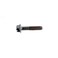 Pentair /pacfab Challenger Replacement Screw, Impeller Locking 355389