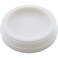 Pentair Plug, Vac-Mate Skimmer, 2", Threaded