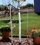 Master Mark Plastic Tree Wrap, Tree Trunk Protector, 2 Pack Spiral Guard