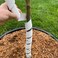 Master Mark Plastic Tree Wrap, Tree Trunk Protector, 2 Pack Spiral Guard