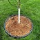 Master Mark Plastic Tree Wrap, Tree Trunk Protector, 2 Pack Spiral Guard