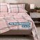 Bare Home Flannel Sheet Set Prints (Queen, Aurora Plaid - Pink)