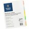 Business Source Insertable Tab Ring Binder Indexes