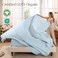 Bare Home 100% Organic Cotton Percale Sheet Set (King, Winter Blue)