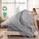Bare Home 100% Organic Cotton Percale Sheet Set (Queen, Light Grey)