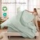 Bare Home 100% Organic Cotton Percale Sheet Set (Queen, Willow)