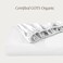 Bare Home 100% Organic Cotton Percale Fitted Sheet (Twin, White)