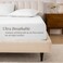 Bare Home 100% Organic Cotton Percale Fitted Sheet (Twin, White)