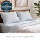 Mellanni Iconic 4-Piece, Ultra Soft Sheet Set (Queen, Laced Sky Blue)