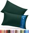 Utopia Bedding Pillow Cases King Size Set of 2, Ultra Soft Comfy Pillow Covers, Emerald