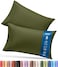 Utopia Bedding Pillow Cases Queen Size Set of 2, Ultra Soft Comfy Pillow Covers, Olive