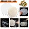 SiliFine Rice Paper Water Bowl Spring Roll Making Kit