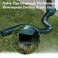 Gutterlix 3 Pack Flexible Gutter Downspout Extensions Extendable from 21" to 67", Downspout Extender Comes with Adapters, Thickened Down Spout Drain Extension for Rainwater Drainage(Green)