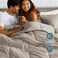 Bare Home Full Comforter Set - 1800 Ultra Soft (Full, Khaki)