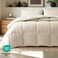 Bare Home Full Comforter Set - 1800 Ultra Soft (Full, Sand)