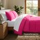 Bare Home Queen Comforter Set - 1800 Ultra Soft (Queen, Pink)