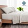 Bare Home Printed Sheet Set (Split King, Pinstripe - Stone/White)