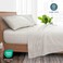 Bare Home Printed Sheet Set (Queen, Modern Plaid - Stone/White)