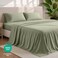 Bare Home Queen Sheet Set - 1800 Ultra-Soft (Queen, Sage)