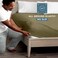 Bare Home King Fitted Sheet - 1800 Ultra-Soft (King, Olive)