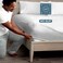 Bare Home Twin Fitted Sheet - 1800 Ultra-Soft (Twin, Cloud Grey)