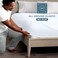 Bare Home Twin Fitted Sheet - 1800 Ultra-Soft (Twin, White)