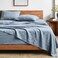 Bare Home Washed Sheet Set 1800 Ultra-Soft (Twin, Dusty Blue)