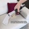 Joyzan Stainless Steel Hand Wand Clear Head, Extractor Auto Detailing Tool