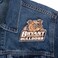 Desert Cactus Bryant University Embroidered Iron on Sew on Patch (A)