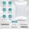 Bare Home 100% Mulberry Silk Pillowcase Hidden Zipper (King, White)