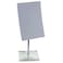 Gedy Rainbow Square Magnifying Mirror, Silver