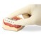 Practicon 7039716 Disposable Micro-Tray Impression Tray, Pack of 50