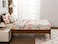 Ntbed Rainbow Printed Zipper Bedding Sets Twin Lightweight Microfiber Heart Comforter Set with Fitted Sheet Pillow Covers, Beige