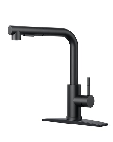 Forious Kitchen Faucets with Pull Out Sprayer, Stainless Steel, Matte Black