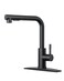 Forious Kitchen Faucets with Pull Out Sprayer, Stainless Steel, Matte Black