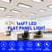 Hykolity 1X4 LED Flat Panel Light,4800LM,3CCT 3000K/4000K/5000K