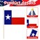 Geodurn 20 Pack Handheld Texas Flags, Small Tx Lone Star Pride Mini Flags on Sticks