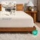 Bare Home Flannel Fitted Bottom Sheet 100% Cotton (Full, Sand)
