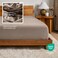Bare Home Flannel Fitted Bottom Sheet 100% Cotton (Full, Taupe)